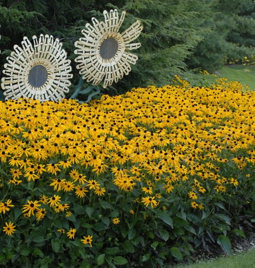 Nolt's Garden Center The Plant Nursery Lebanon PA