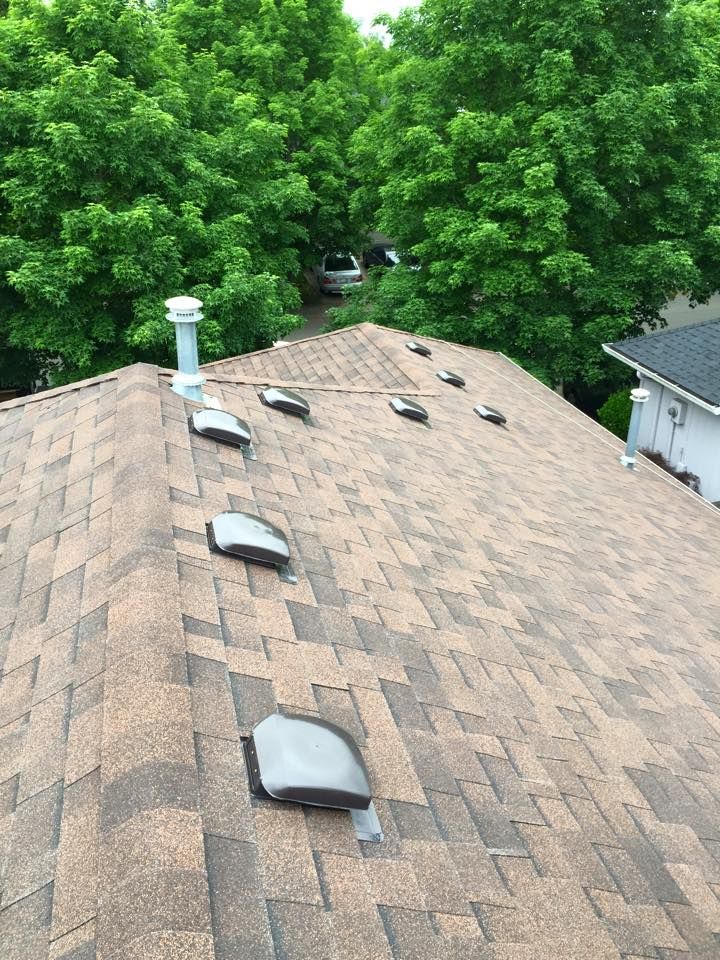 Gallery Buena Vista Roofing Inc