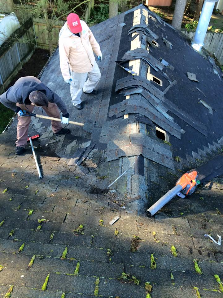 Gallery Buena Vista Roofing Inc