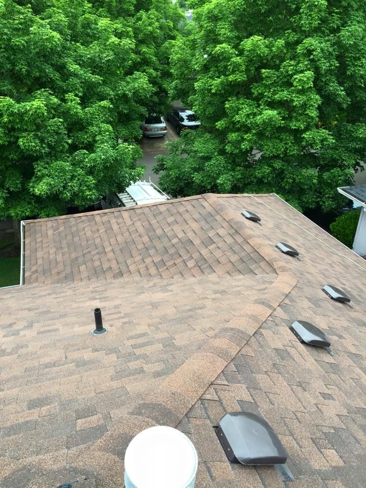 Gallery Buena Vista Roofing Inc