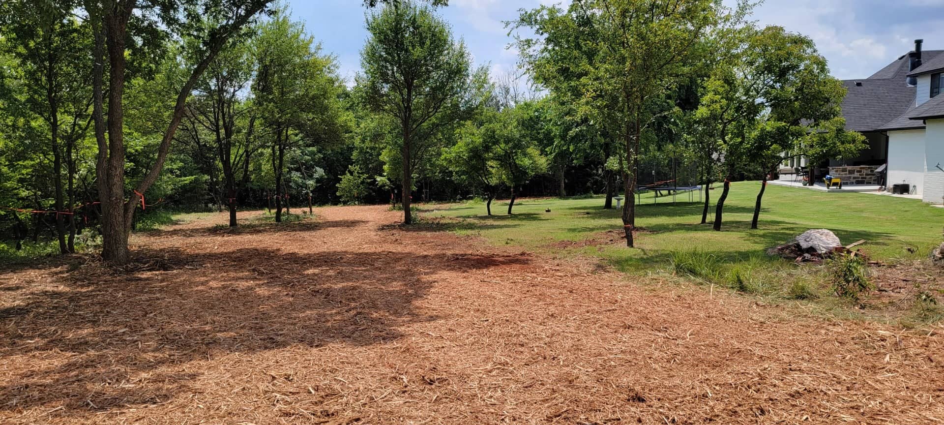 Land Clearing Services Tree Removal Oklahoma City OK
