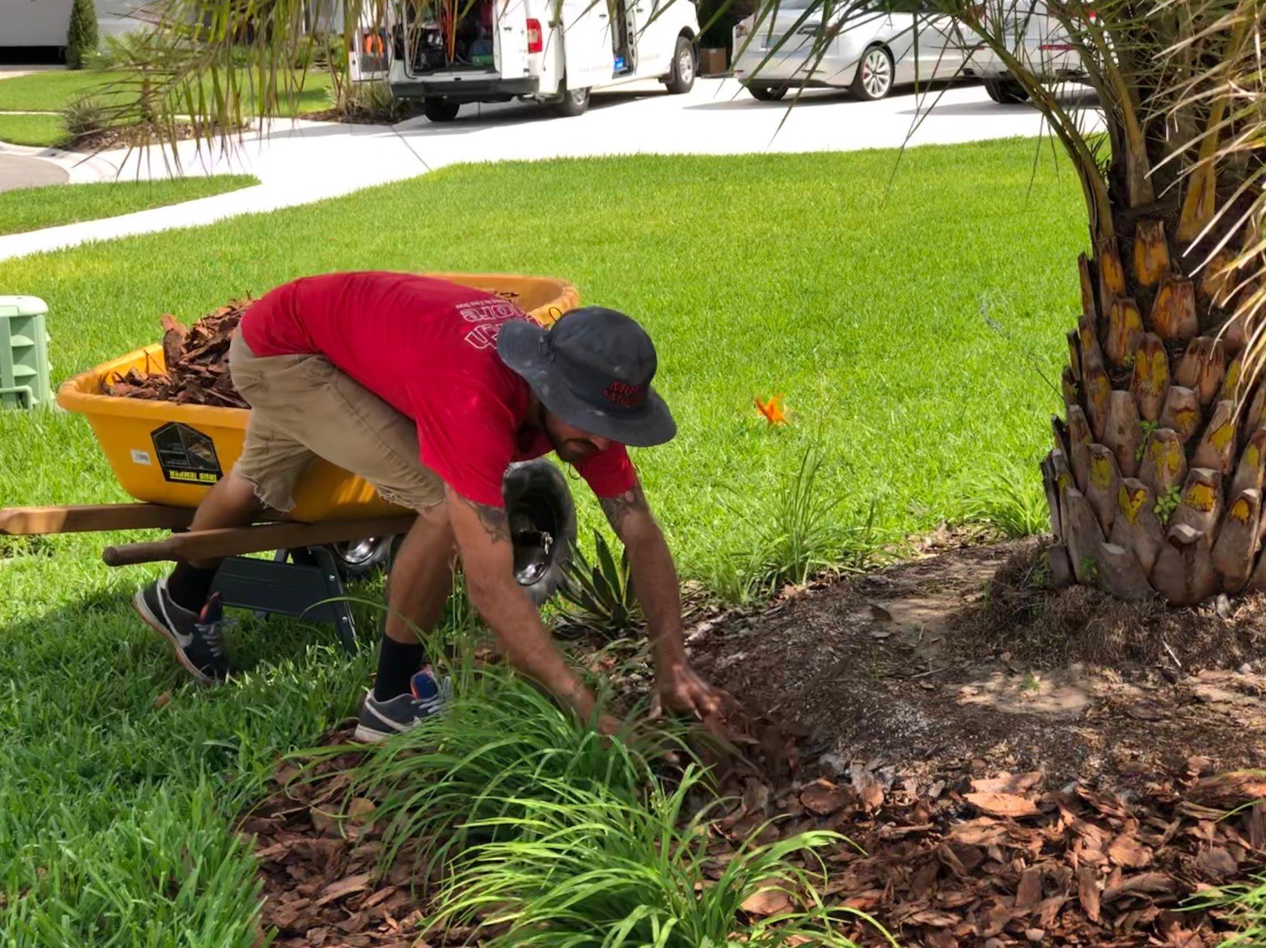 Mulch & More Photo Gallery Ponte Vedra, FL