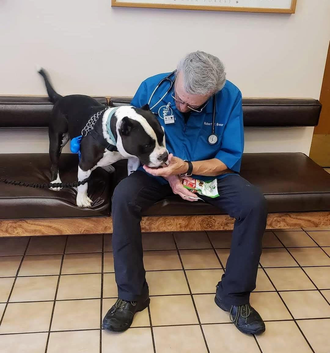 About Brenner Animal Hospital Laurel, MD