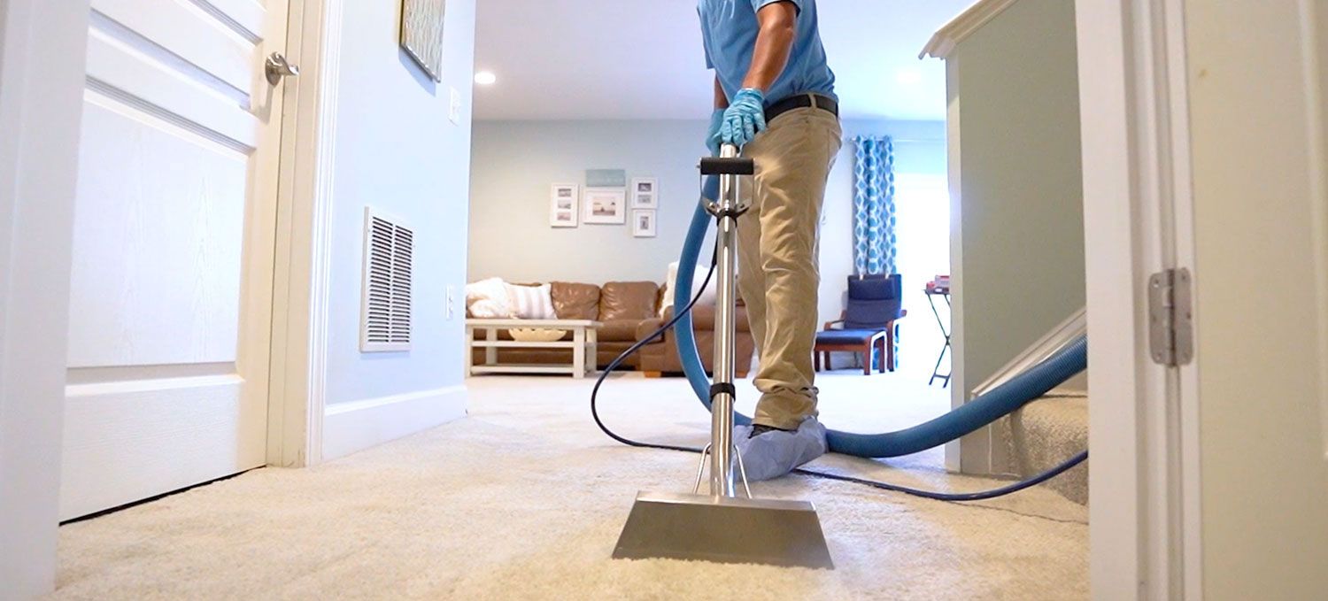 Gallery Absolute Carpet Care