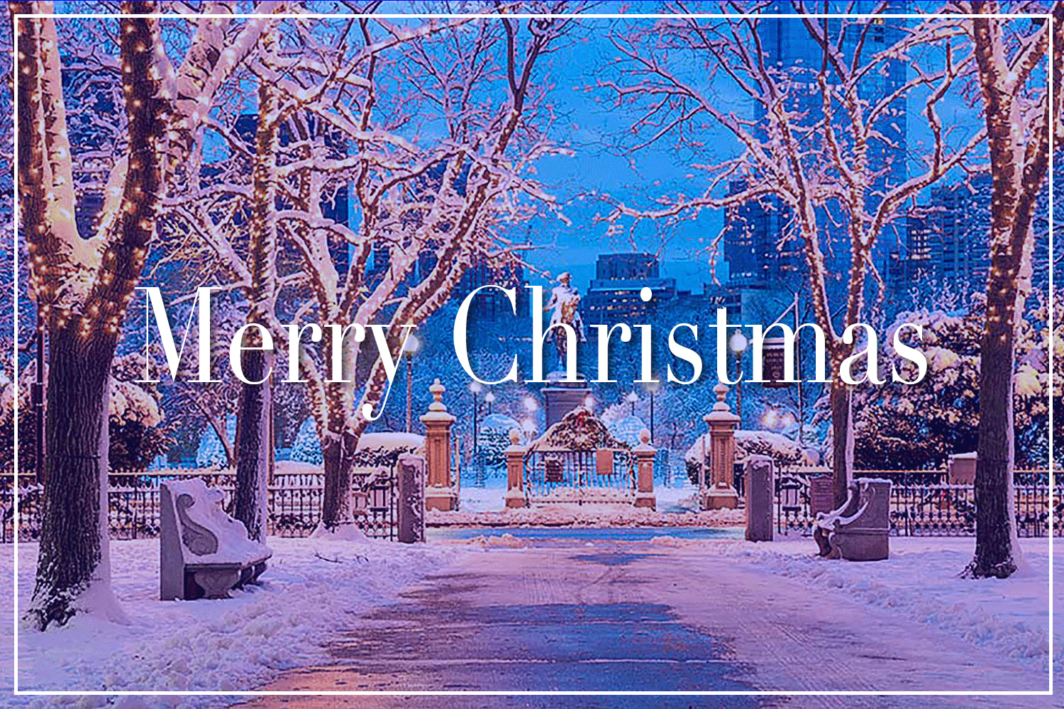 Snowy park path with lit trees and benches, overlaid with “Merry Christmas” text