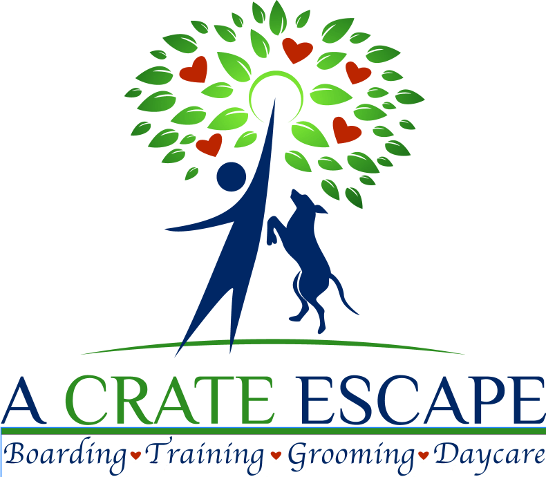 Dog Boarding Round Rock, TX A Crate Escape