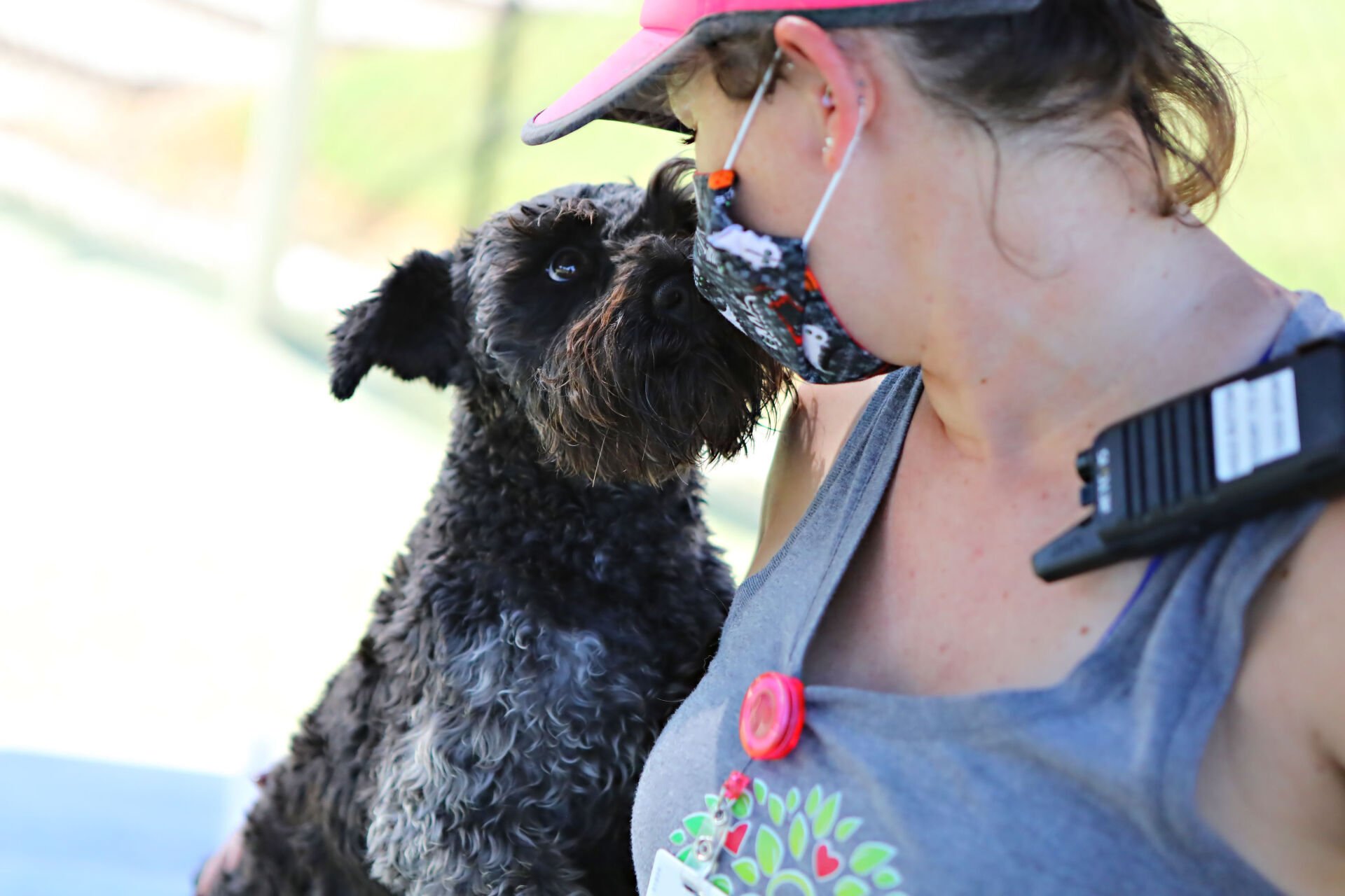 Dog Boarding Round Rock, TX A Crate Escape