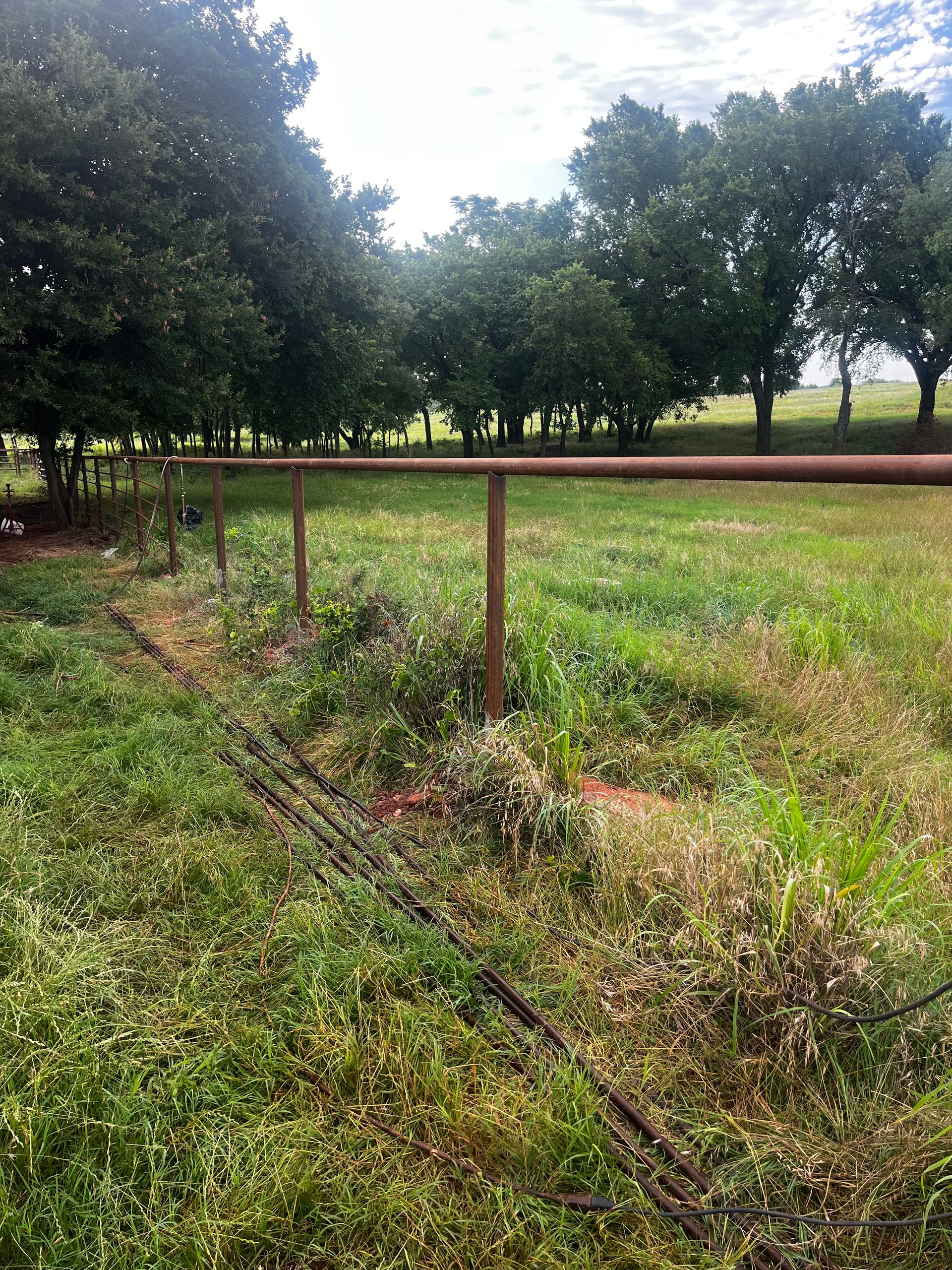 A grassy field with a fence, trees, and a cloudy sky overhead.