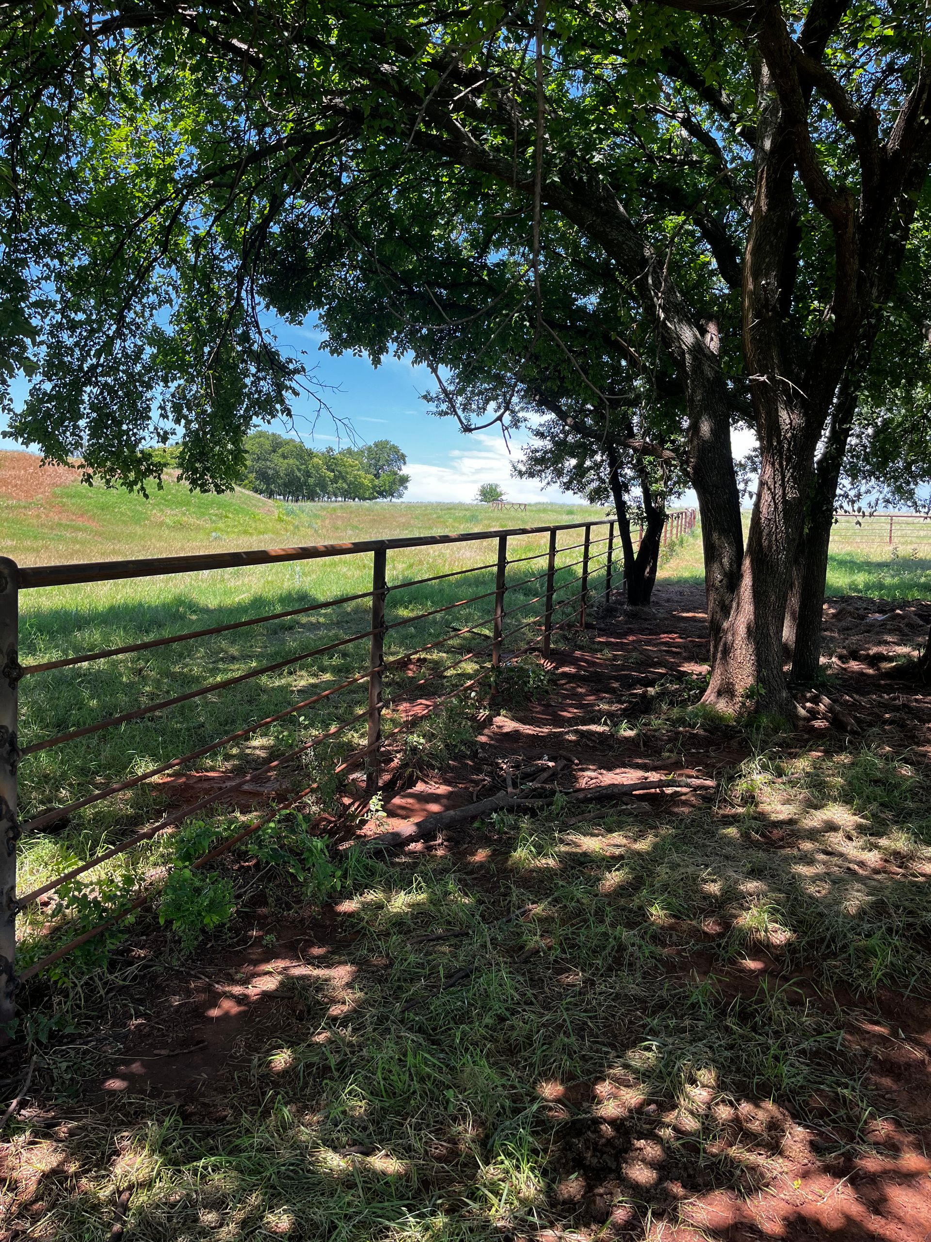 Fence lined by trees in a grassy field. Sunlight casts shadows on the ground. Blue sky visible.
