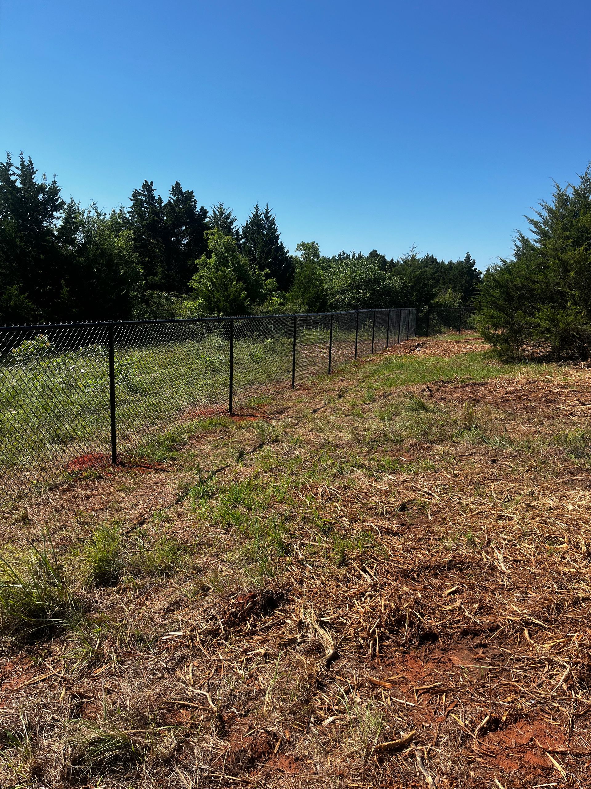 Black chain-link fence in a field with grass and trees, blue sky overhead.