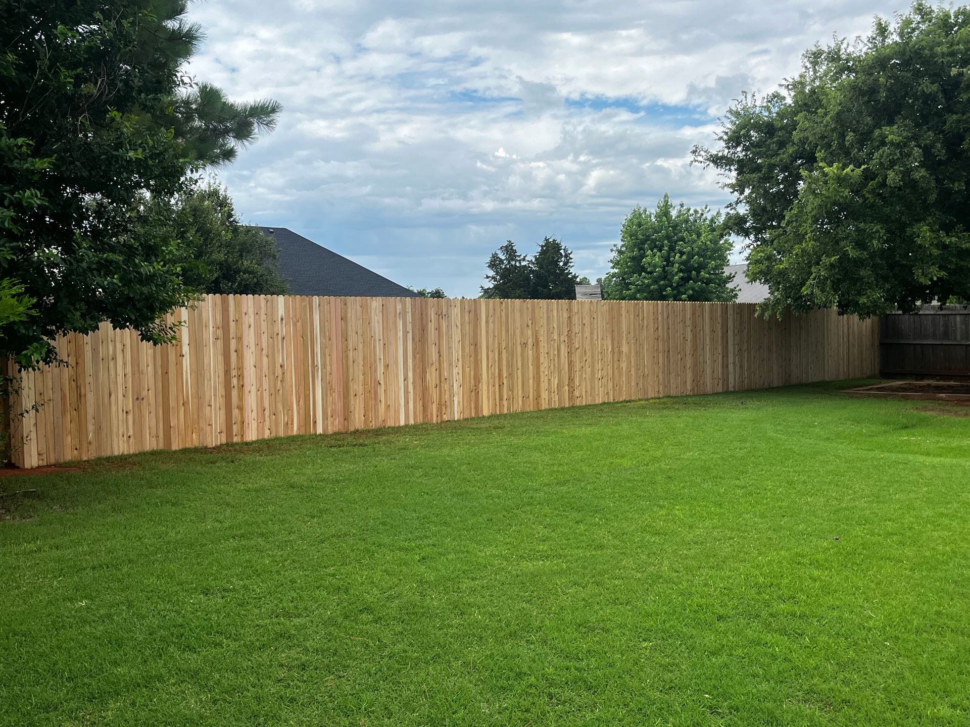 Backyard with green grass, a wooden fence, and trees under a cloudy sky.