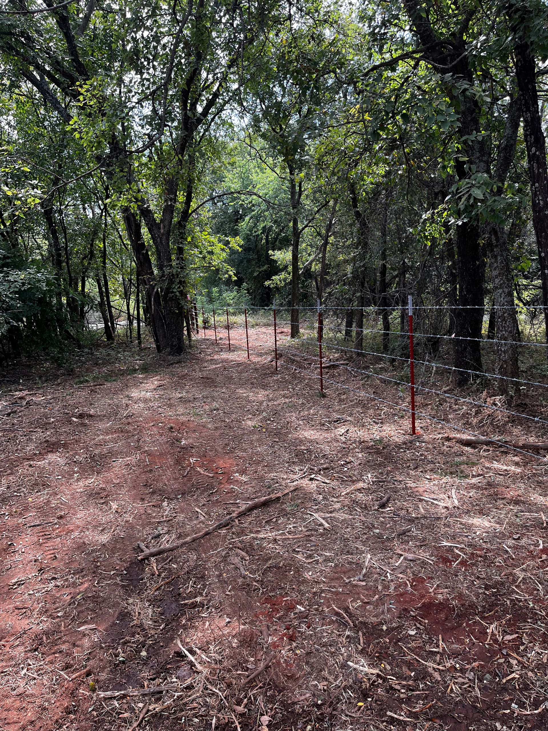 Dirt path through a forest with red stakes and a horizontal bar, leading toward a brighter area.