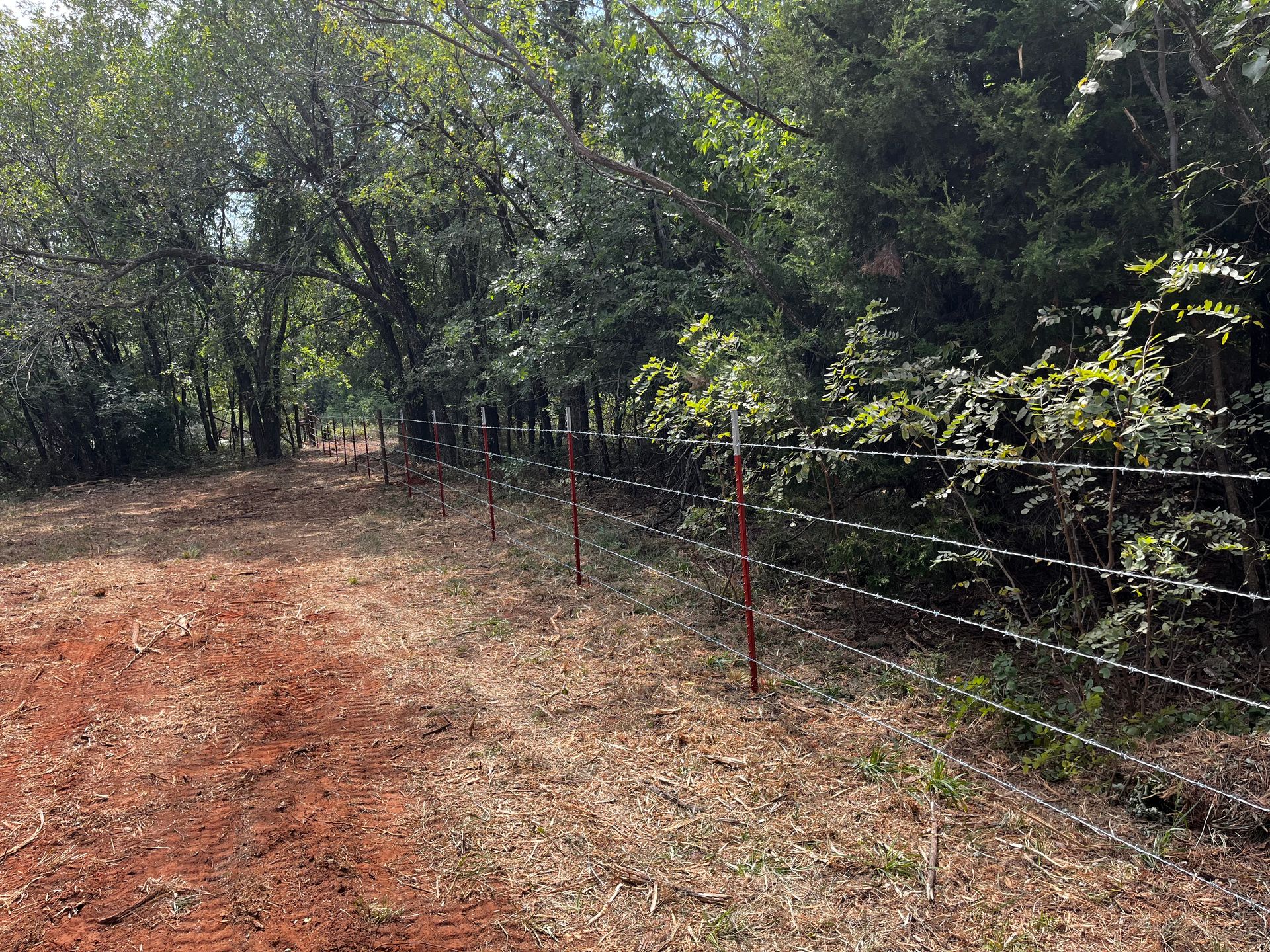 A barbed wire fence lines a dirt path beside a wooded area with green foliage.