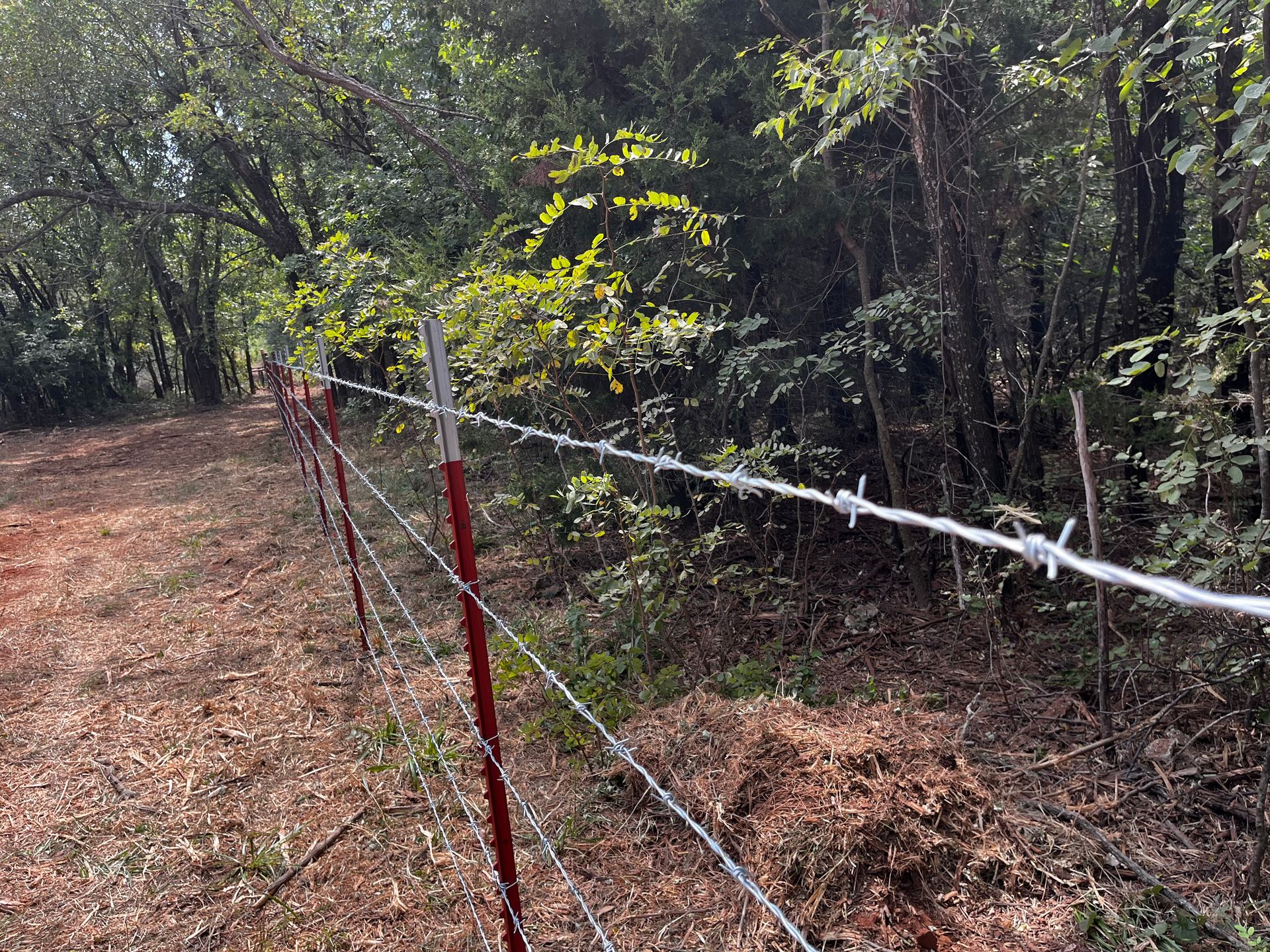 Barbed wire fence bordering a wooded area, under sunlight.