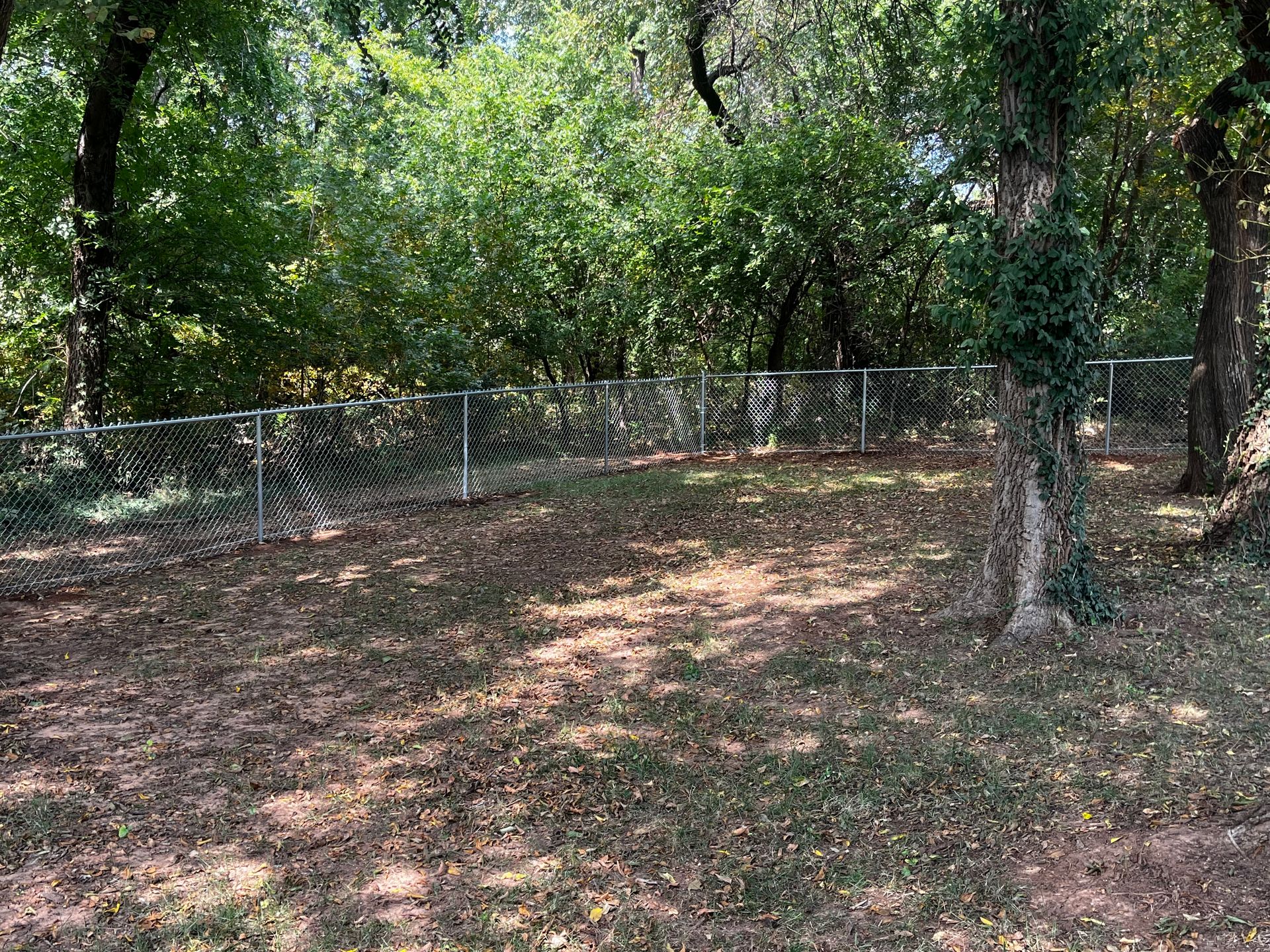A chain-link fence encloses a grassy area with trees in a backyard setting.