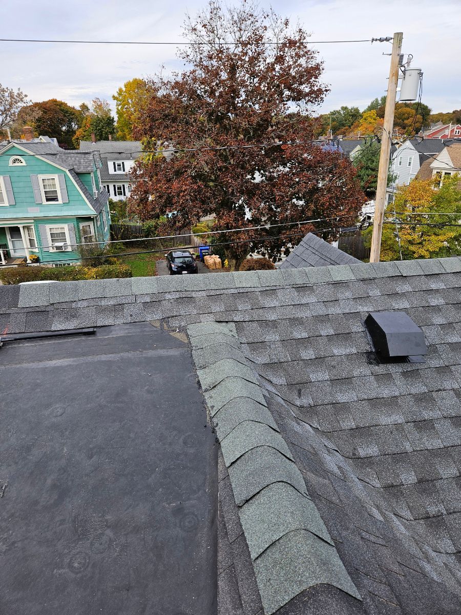 A roof with a tree in the background and a blue house in the background.