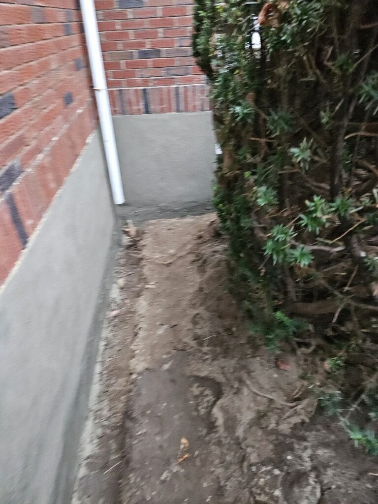 A dirt path leading to a brick wall next to a tree.