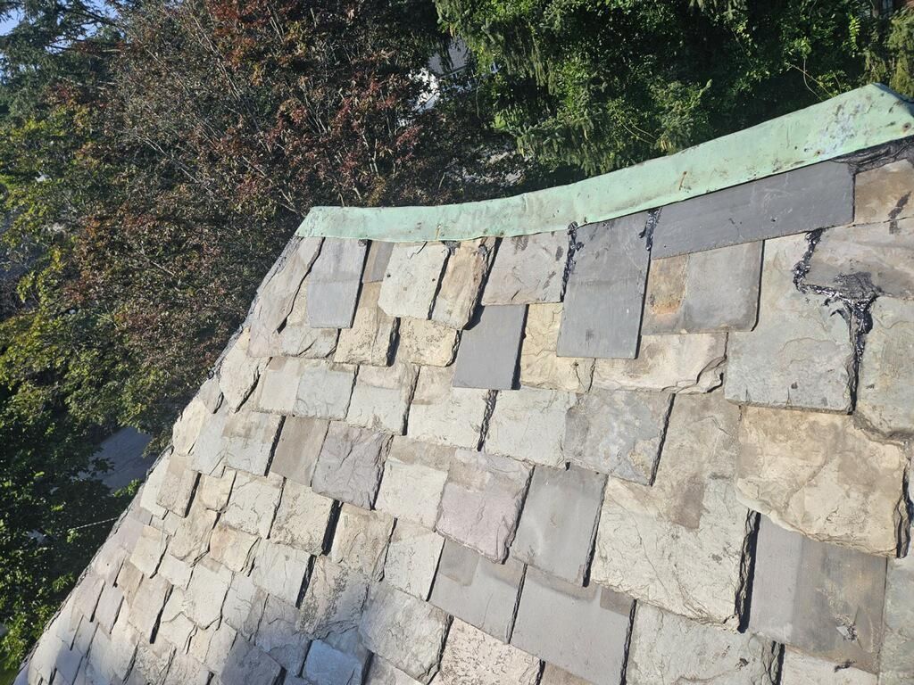 A close up of a roof with a green trim and trees in the background.