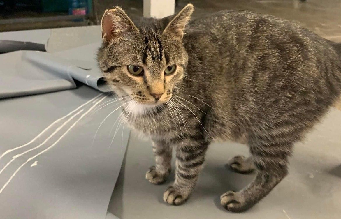 Top Gun Boat Covers Boat Cover Supplier Shakopee, MN