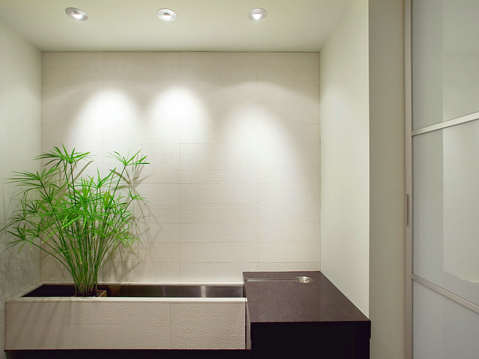 Modern interior with a plant in a rectangular planter, three spotlights, and a dark countertop.