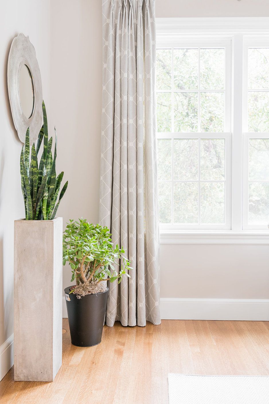Interior corner with a window, potted plants, and a mirror. Light walls, wood floor, and patterned curtains.