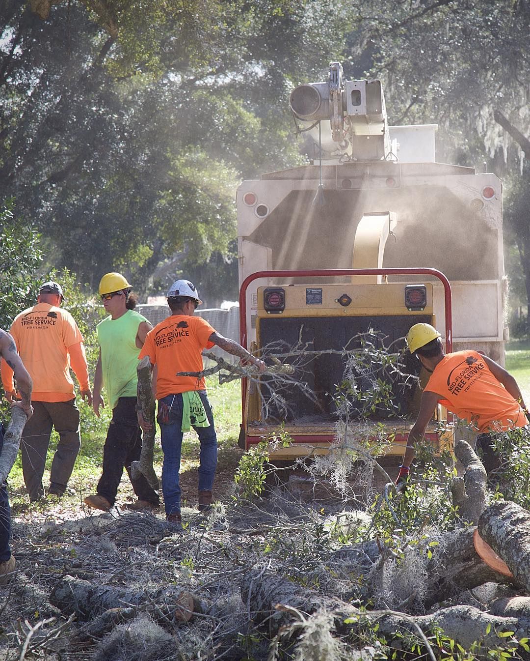 Tree Service Tampa, FL | Temple Terrace, FL
