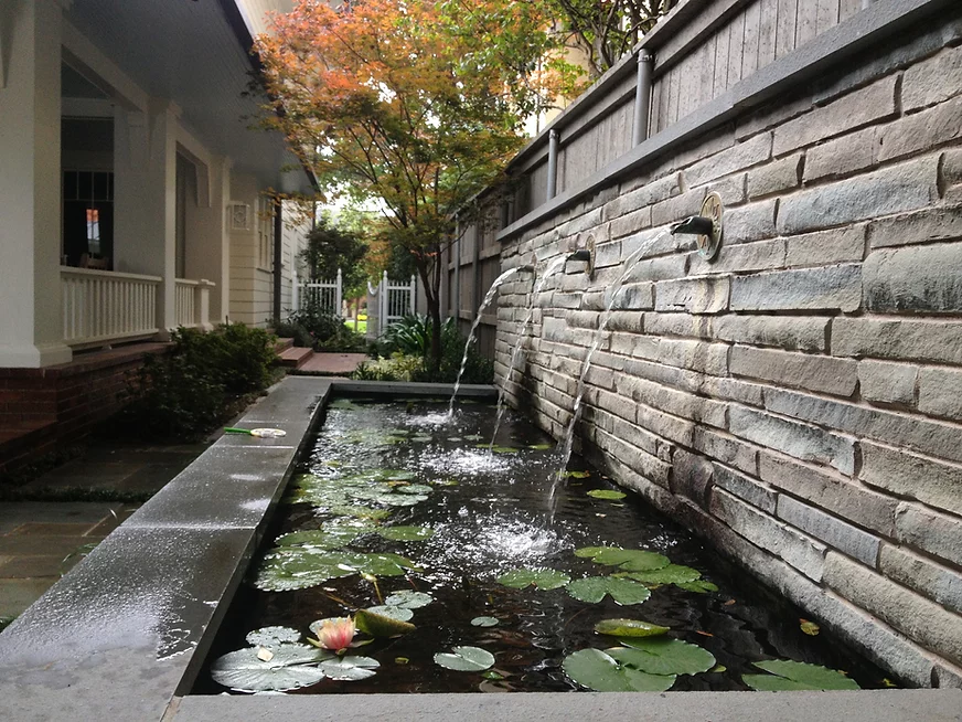 Star of Texas Landscape Landscapers McKinney, TX