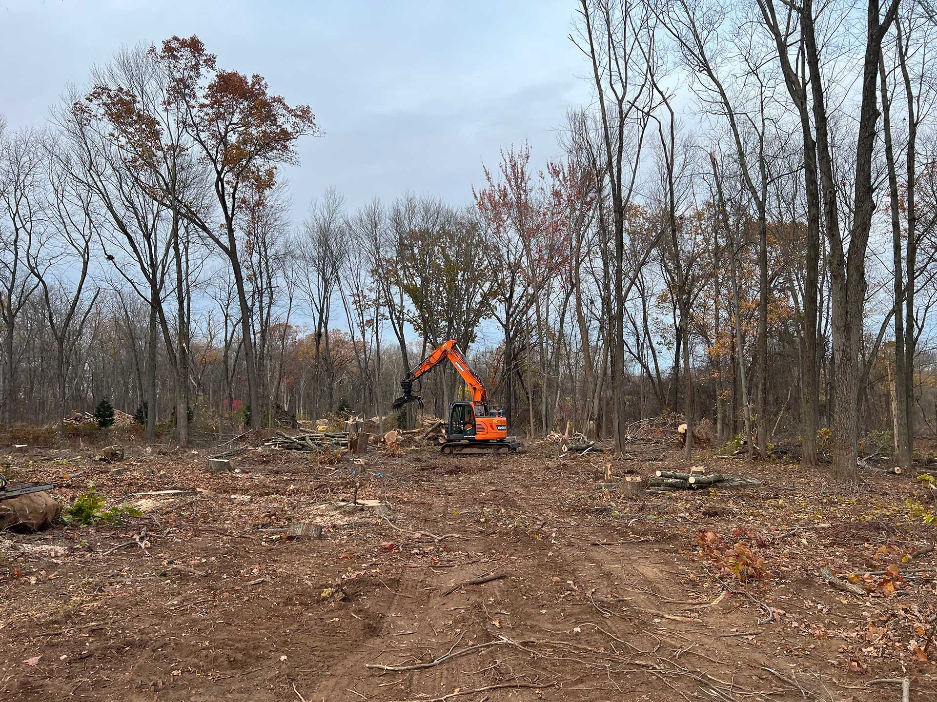 Land Clearing Services, CT | Cipully Tree Service LLC