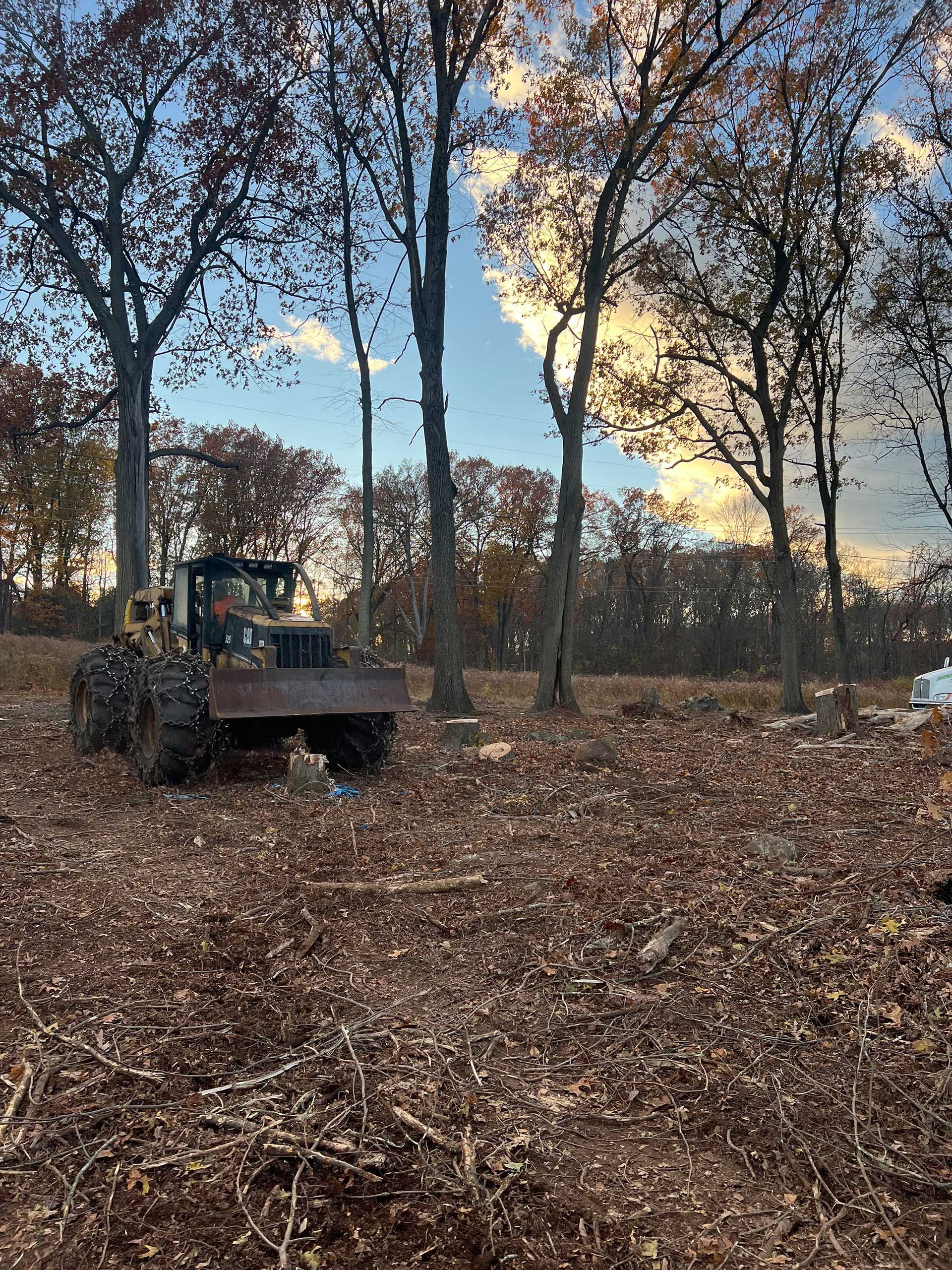 Land Clearing Services, CT | Cipully Tree Service LLC