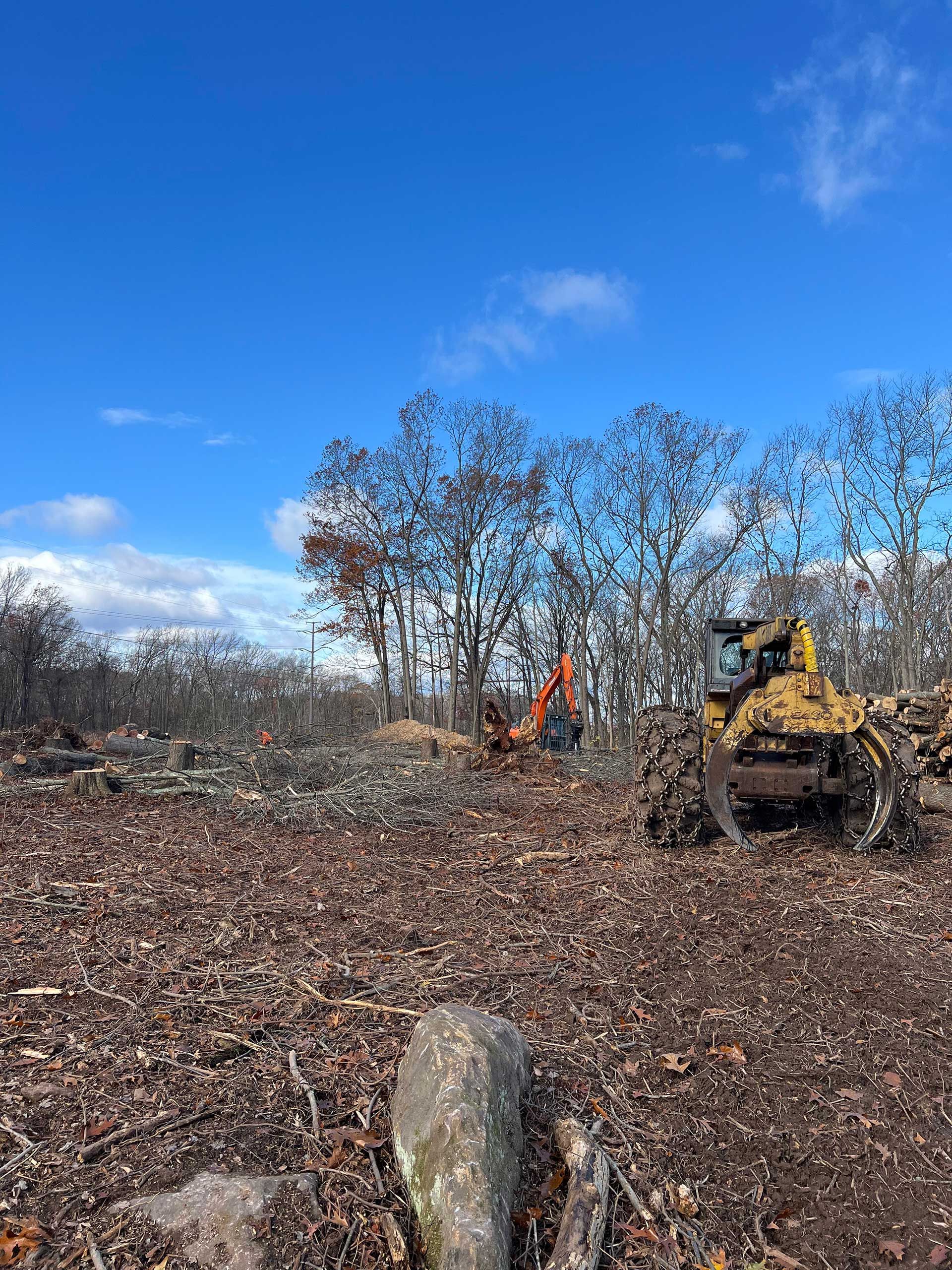 Land Clearing Services, CT | Cipully Tree Service LLC
