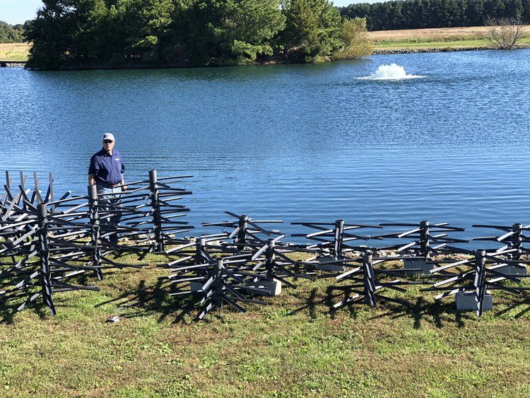 Lake Ralphine Fish Stocking Fish Stocking Services | MD, DE, and VA