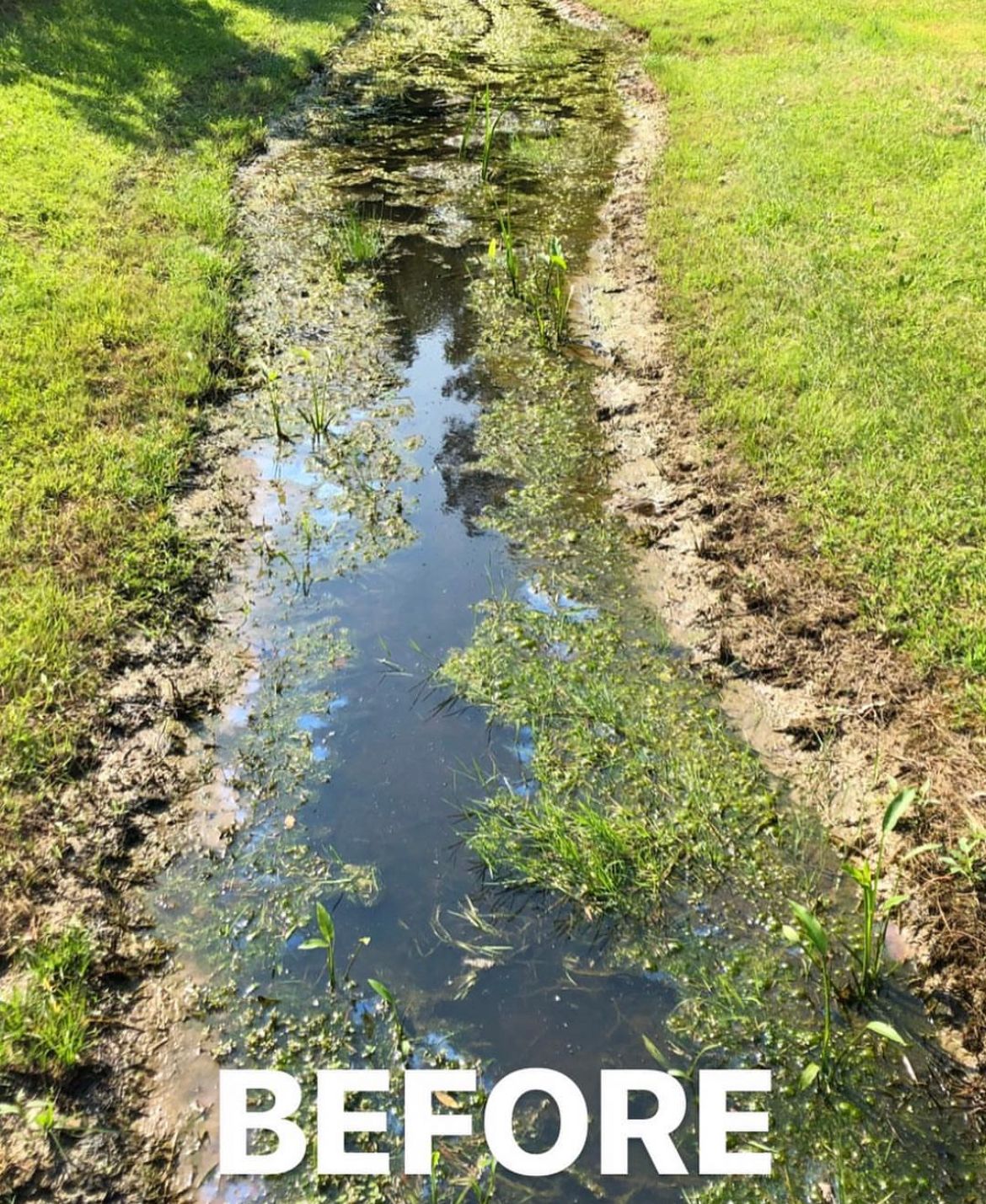 Pond and Lake Management | MD, DE, and VA