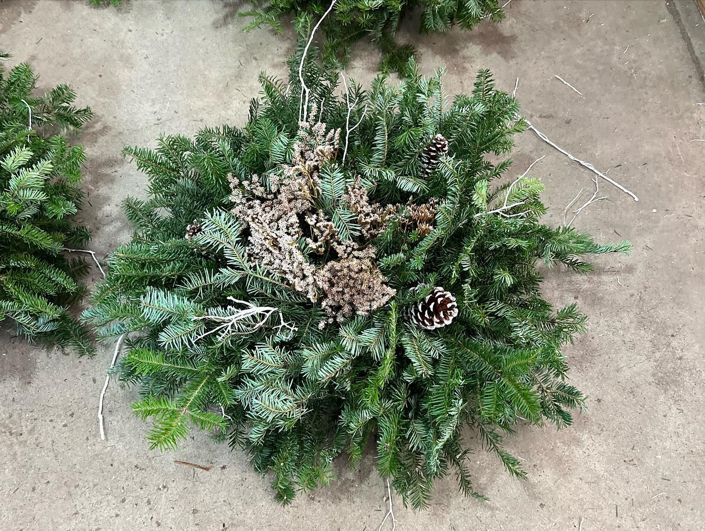 Jones christmas tree farm branford florida