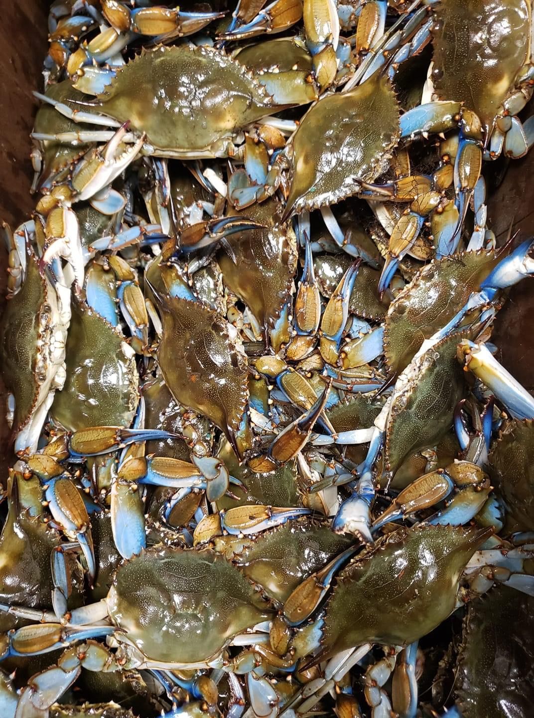 Crabbys Oyster Bar Seafood Restaurant Jensen Beach, FL