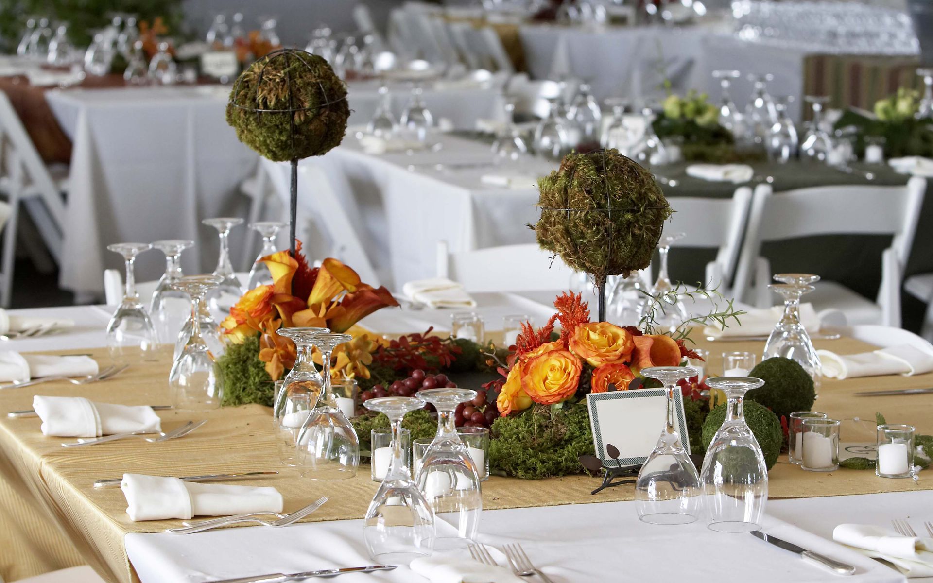 Party Rentals United Rent All Dearborn Heights, MI