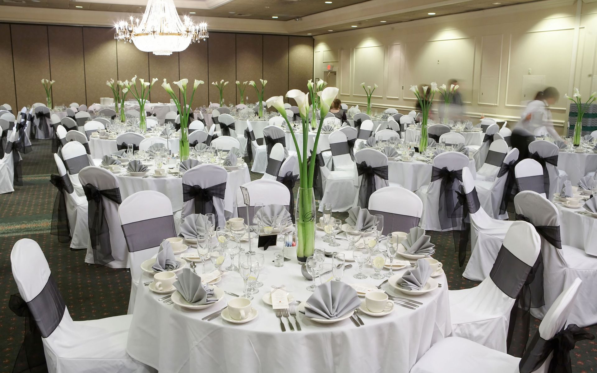 Party Rentals United Rent All Dearborn Heights, MI