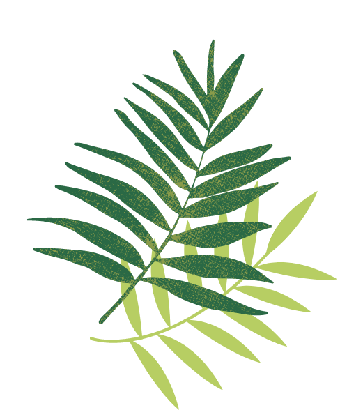 Native Plants Fairfield Farms