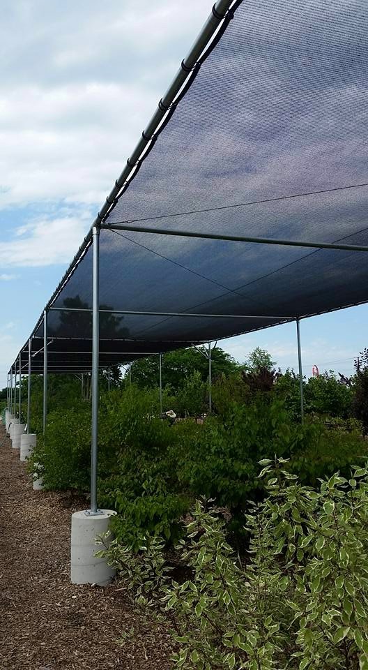 Bentley Ridge Tree Farm & Nursery Photo Gallery