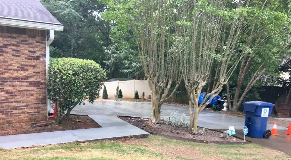 A concrete driveway and walkway lead toward a brick house, flanked by trees, shrubs, and blue recycling bins.