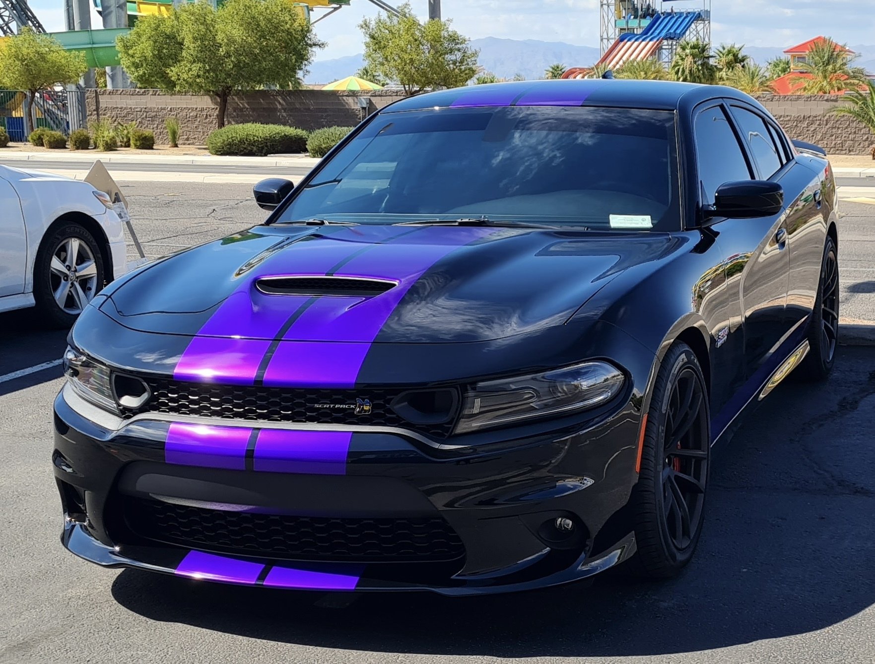 Las Vegas Pro Tint & Wraps Window Tinting Las Vegas, NV