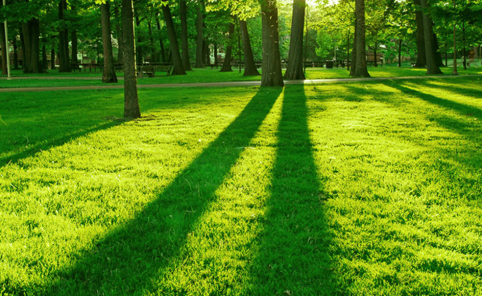 Land of Indiana Buy and Sell Land Recreational Property Deals