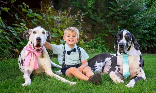 Meet Our Team | Balanced Body Vet Clinic