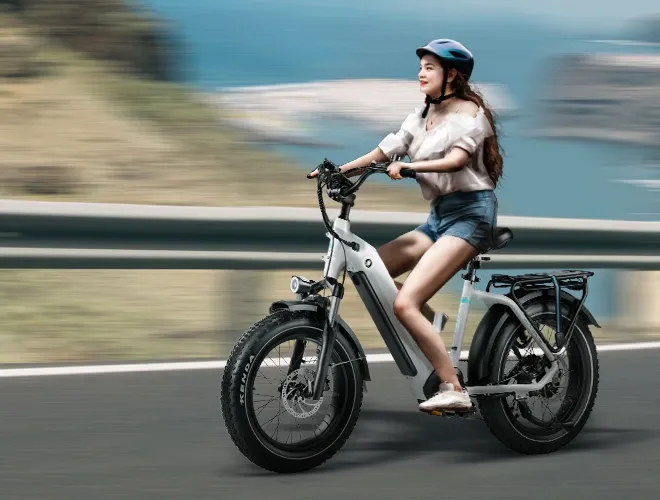 EBikes Let's Roll Electric Bike Shop Lancaster, PA