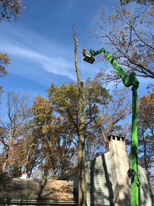 Southern End Tree Service | Tree Service | Lancaster | West Chester PA