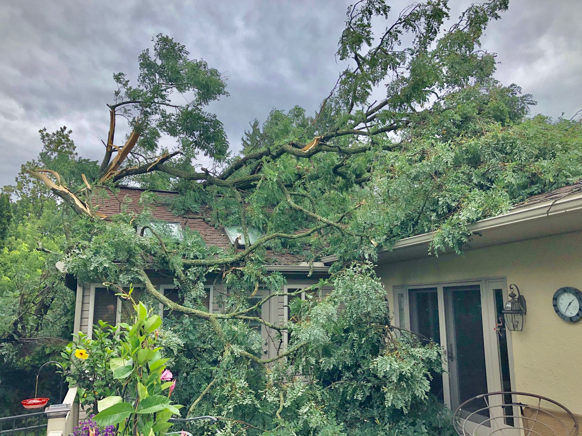Malvern Tree Service | Gallery | Malvern, PA | West Chester | Exton