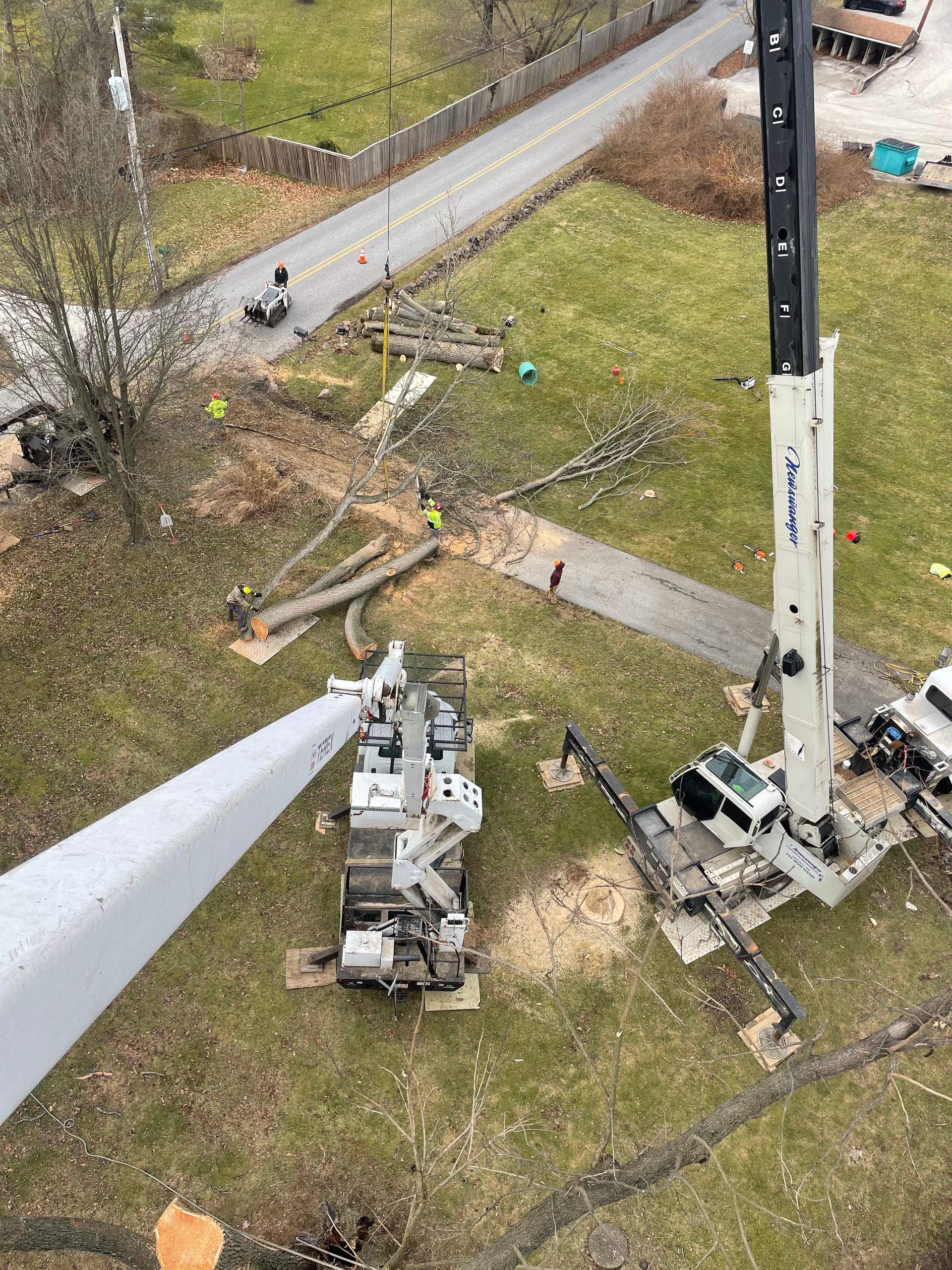 Malvern Tree Service | Gallery | Malvern, PA | West Chester | Exton