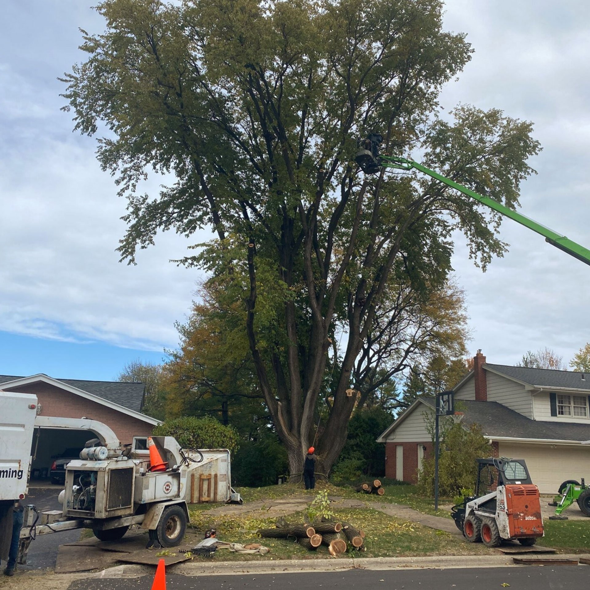 Tree Service Rockford IL Smetters Tree Service 8159143557
