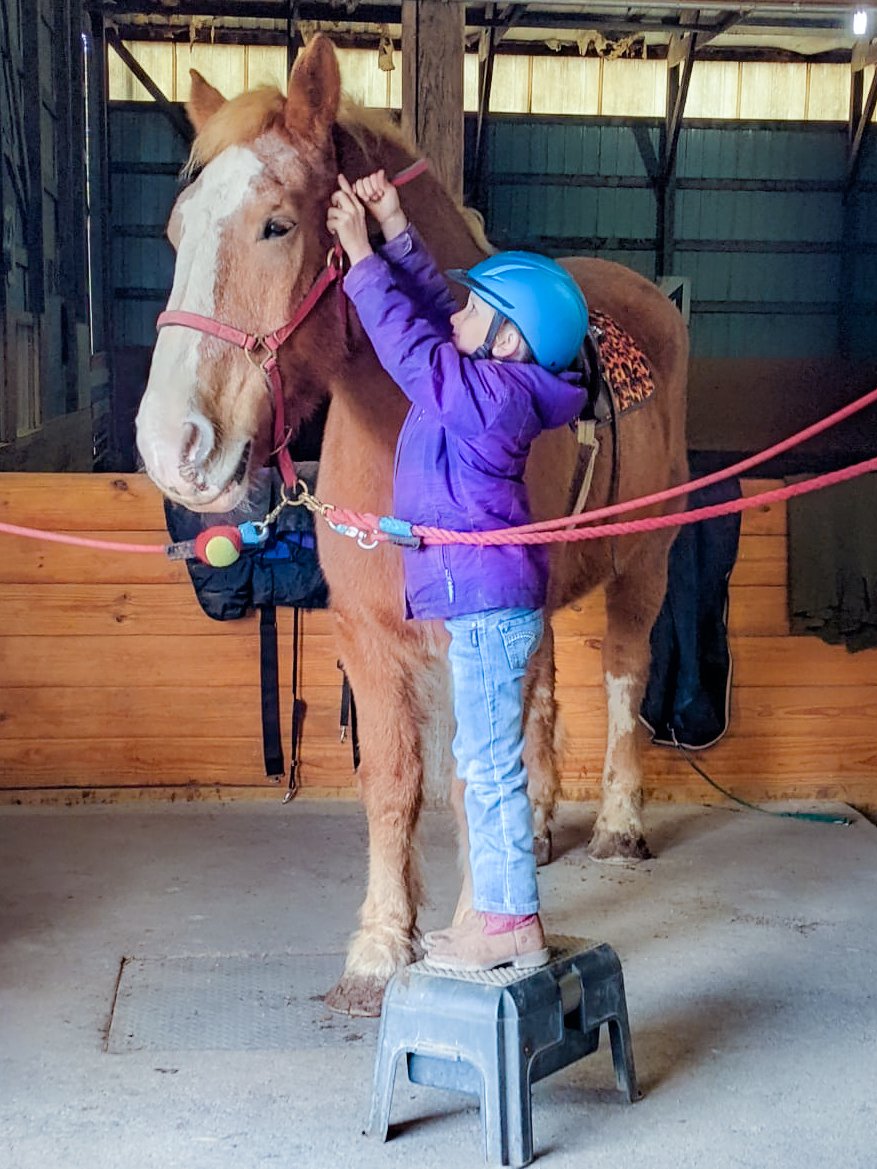 Well-Rounded Horse Person | Training Techniques Manhattan KS