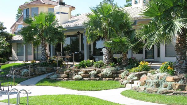 Landscaped building with palm trees, pathways, and tiered rock garden.
