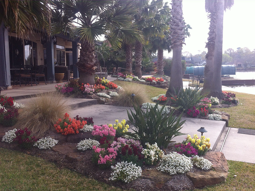 Colorful flower beds border a house with palm trees, steps to a walkway, and a waterfront view.